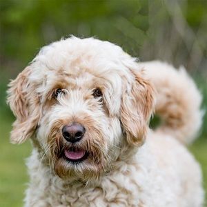 Meet your Posher, Cate